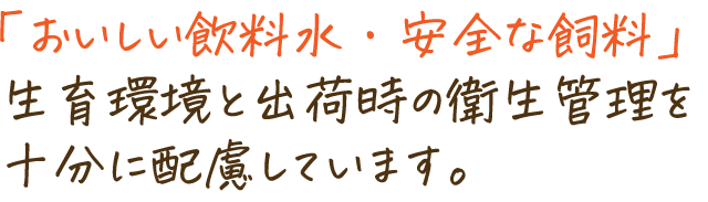 安全な飼料・おいしい飲料水で烏骨鶏を育てています。